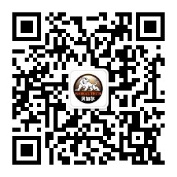 掃描手機訪問
